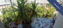 For sale Apartment Marseille-13eme-arrondissement 13013 56 m2 3 rooms