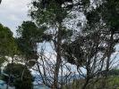 For sale Land Castellet  83330 200 m2 2 rooms