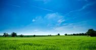 For sale Land Bras 83149 15720 m2