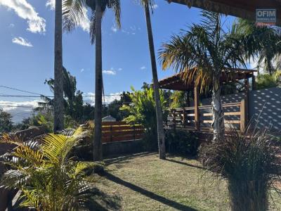 For rent House TAMPON