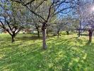 For sale Land Bazas 33430
