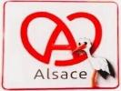 For sale Commercial office Strasbourg 67100 283 m2 6 rooms
