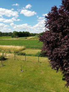 For rent House VIEVILLE