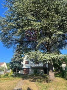 For rent Apartment VILLENEUVE-SAINT-GEORGES