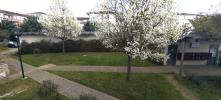 For rent Apartment Union 31240 64 m2 3 rooms