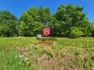 For sale Land Bazas 33430 1256 m2