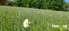 For sale Land Tulle 19000 5060 m2