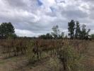 For sale Land Castillon-du-gard 30210 18960 m2