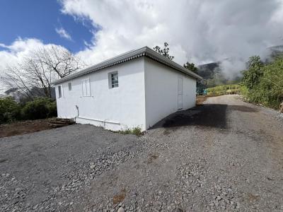 For rent House PLAINE-DES-PALMISTES