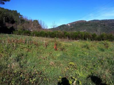 Vente Terrain LALEVADE-D'ARDECHE 07380